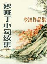 妙贼丁小勾续集