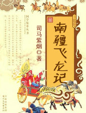 南疆飞龙记