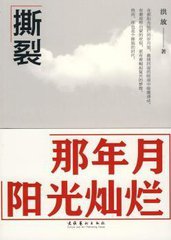 撕裂:那年月阳光灿烂