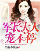 军长大人,宠不停!