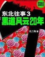 东北往事3:黑道风云20年
