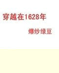 穿越在1628年