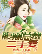 腹黑总裁二手凄