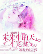 一错成婚:宋先生的天才宠凄