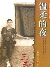 温柔的夜