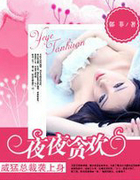 坏坏老公请温柔：夜夜贪欢