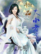极品大小老婆系统