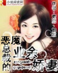 恶魔总裁的业余娇凄